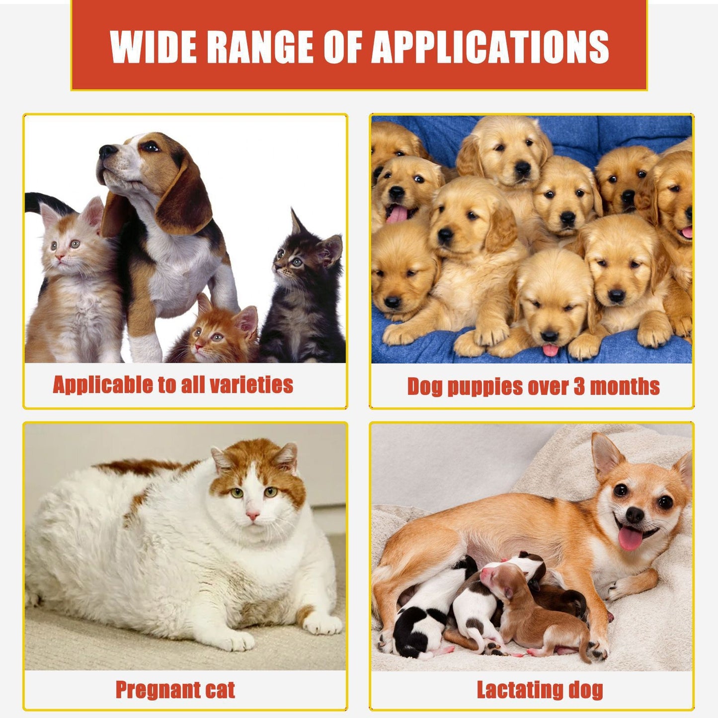 Pet Hemostatic Powder with Active Ingredients – Fast Bleeding Control for Dogs & Cats